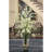 Orchid Arrangement-1239110145