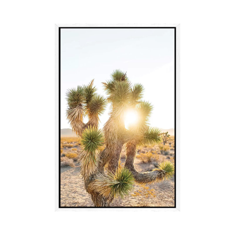 Joshua Tree Sunrise by Bethany Young - Print on Canvas, 101.6cm H x 66.04cm W x 3.81cm D, White Framed