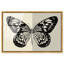 «Duality of a Monarch II», reproduction d'art sur toile encadrée par Art Remedy, cadre en noyer, 30 x 20-1285255274-1285255275