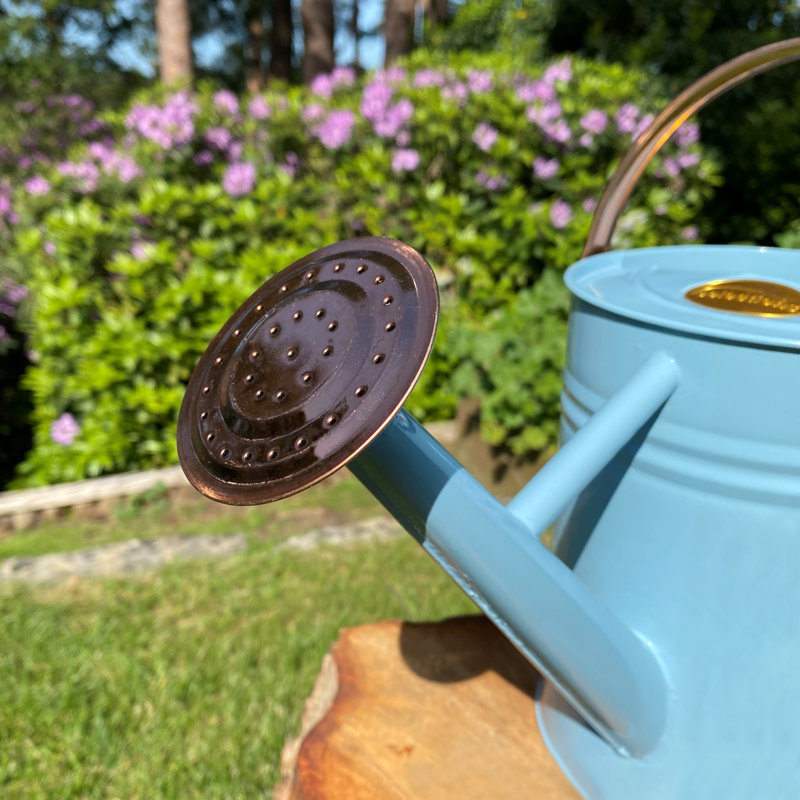 Metal Watering Can, Light Blue