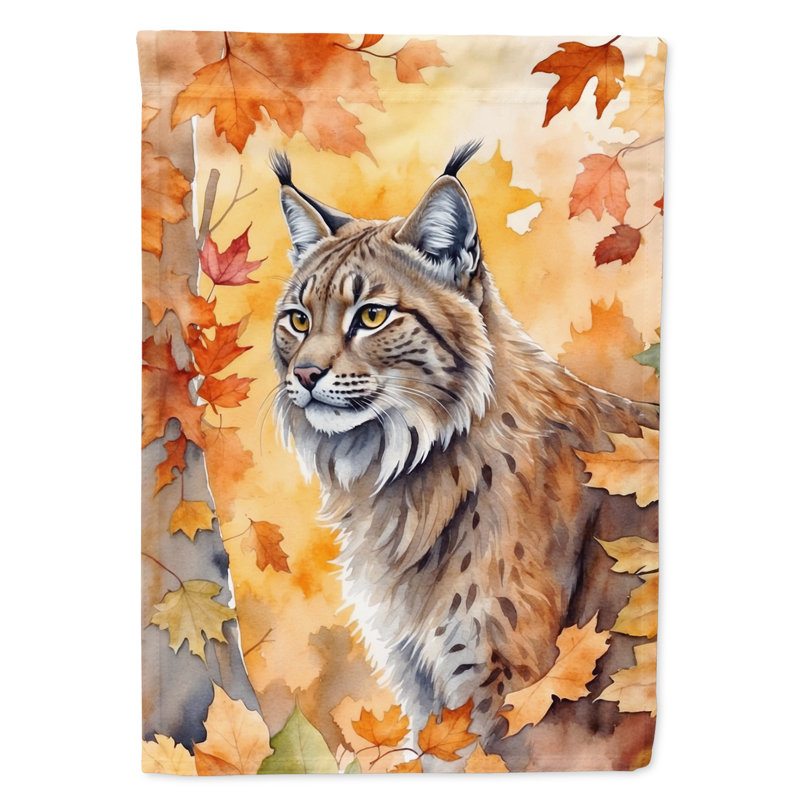 Chat en feuilles d'automne, Highlander Lynx