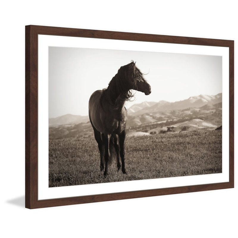 Melanie Snowhite - Single Picture Frame Print, 41cm H x 61cm W x 3.81cm D