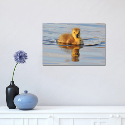 Gosling Reflection 1 Piece Wrapped Canvas Wall Art