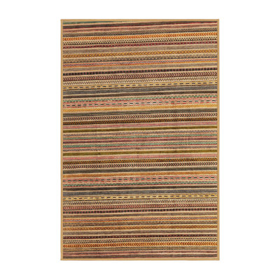 Striped Indoor Rug
