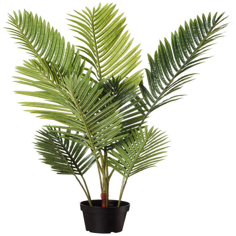 119.8cm Plant