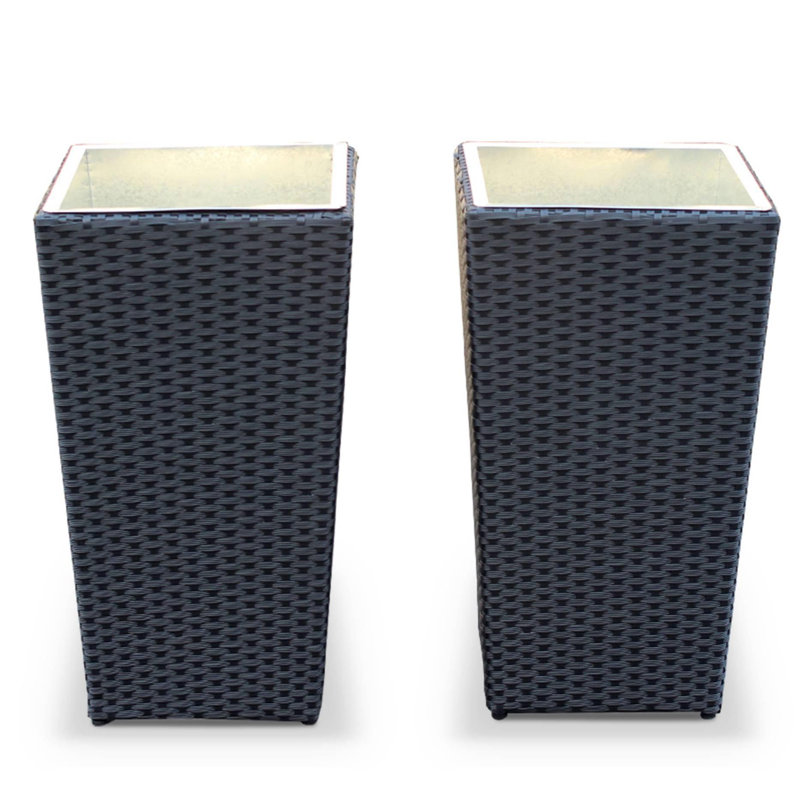 Reina Metal Pot Planter, Black