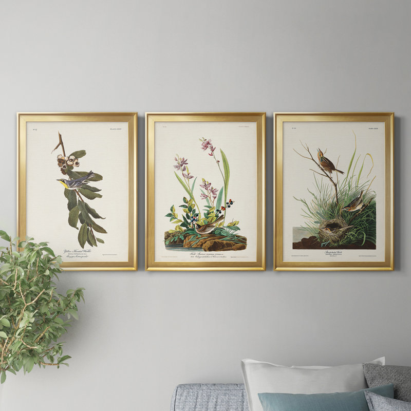 Pl. 85, 85, parabole à gorge jaune - ensemble de 3 impressions sur toile encadrées, Doré, H 22,5 po x l 91,5 po x P 1,5 po