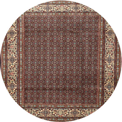Oriental Indoor Rug