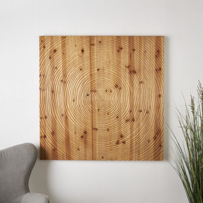 Illustration d'une boîte-cadre sur bois