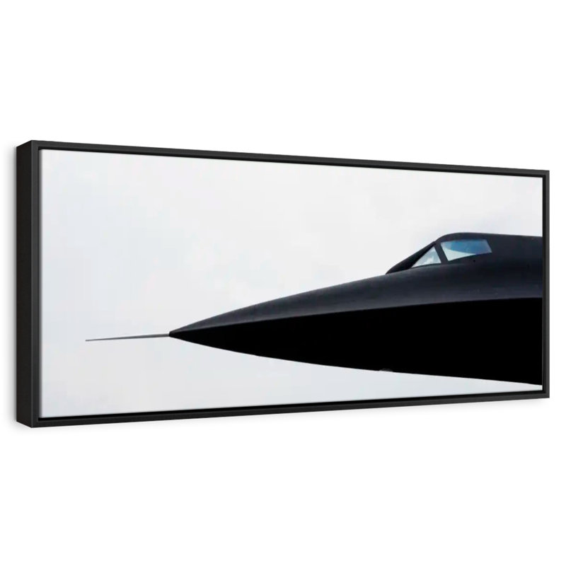 Avion militaire Blackbird, 46 po x 16 po, Cadre flottant noir