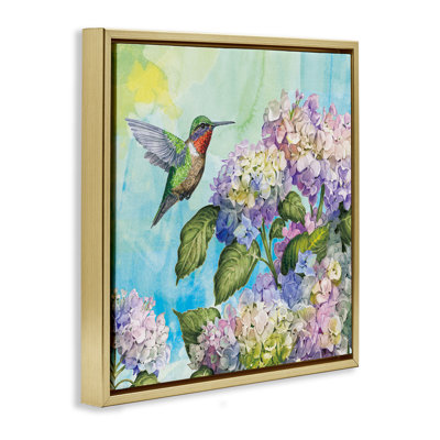 Cadre flottant colibri et hortensias, design par Tim Coffey