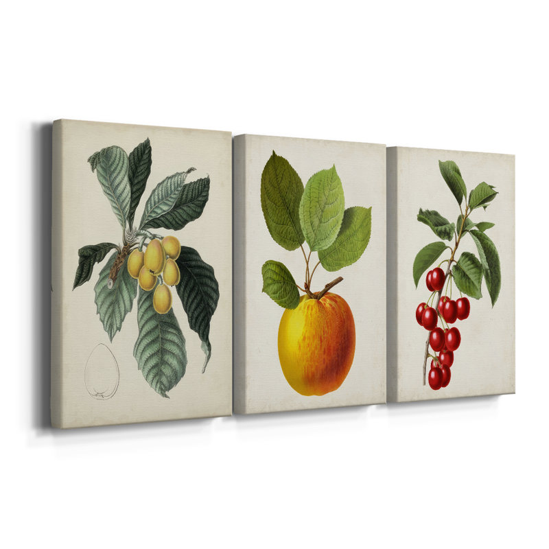 Feuillage antique et fruit VI - Toile tendue sur mesure avec châssis - 3 pièces, H 12 po x l 24 po