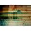 « pusledge » par parvez taj,-photographie sur bois-29860500
