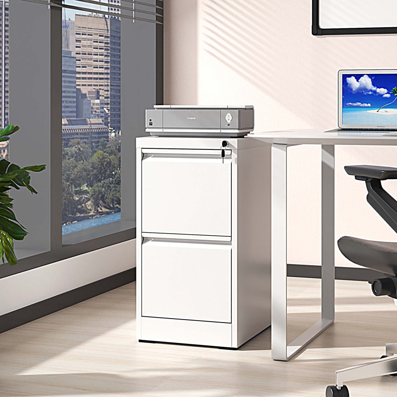 2 Drawer Metal Vertical File Cabinet with Lock Office Home Steel Vertical File Cabinet, White