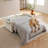 55" Velvet Pull Out Sofa Bed