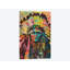 «Native American II», impression sur toile-29638652-74384270