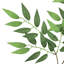 Ruscus artificiel italien Smilax