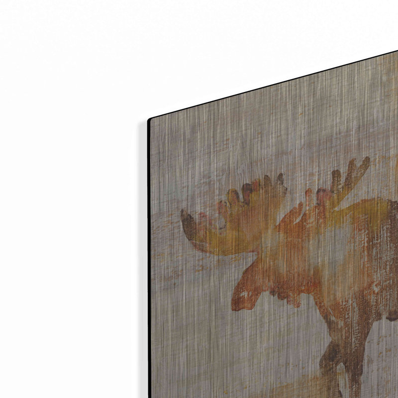 «Moose Study» par Studio Mousseau, H 24 po x l 24 po