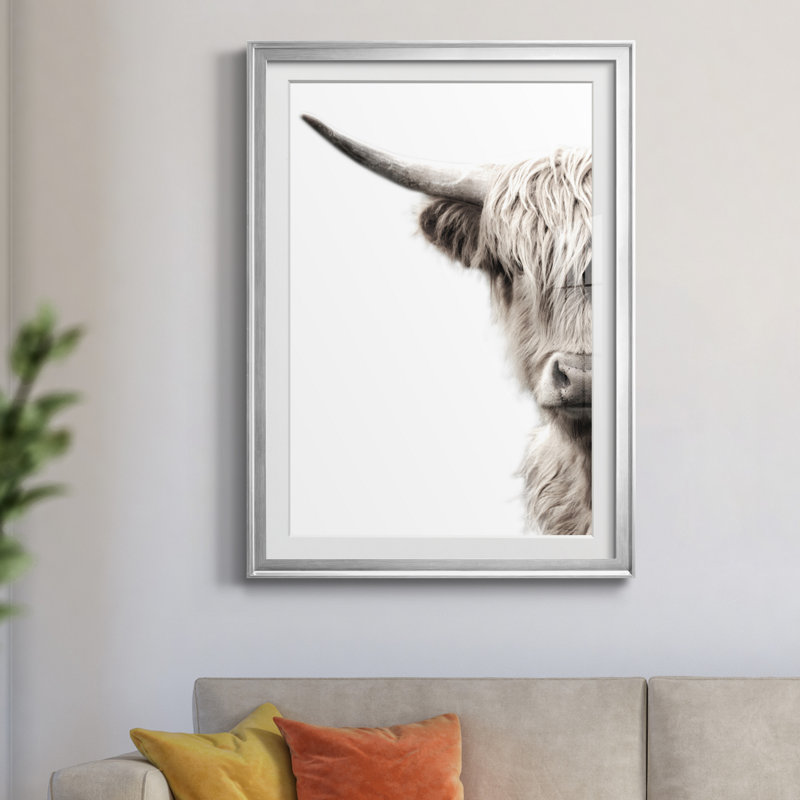 «Highland C best» par Danita Delimont - reproduction de cadre photo, Silver Frame, H 26,5 po x l 36,5 po x P 1,5 po