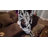 Animal Print Double Sided Throw Blanket-58620410