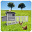 Grande cage à poules en bois-280656708