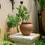 Pot à fleurs Kameera-1273337953