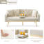 Ebelina Twin 67.7'' Velvet Convertible Sofa-1887169677