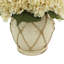 Hydrangea Arrangement in Pot