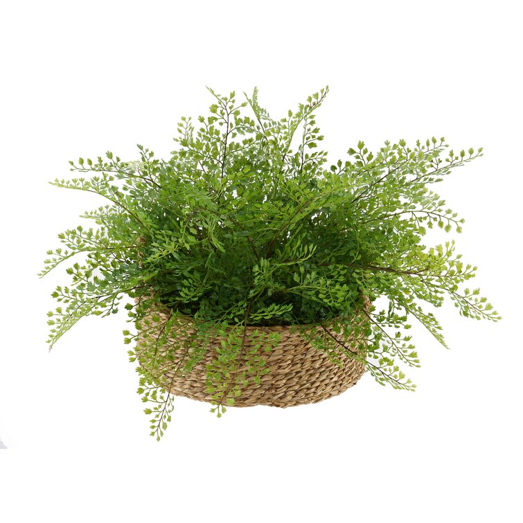 Artificial fern plant in moss and twig basket - 27 | Realistic fern plants