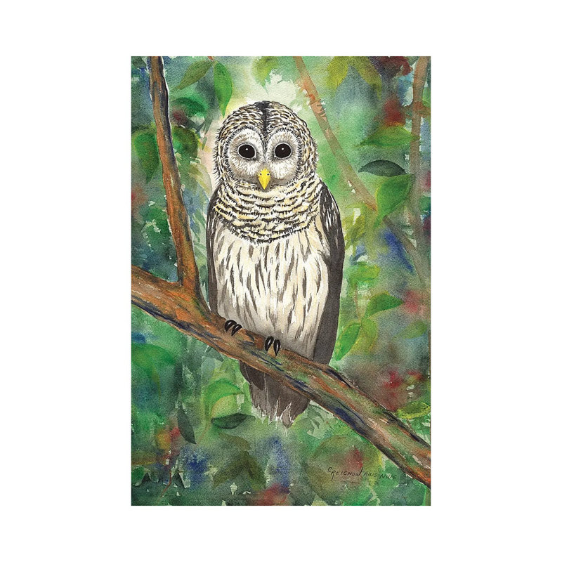 Barred Owl par Christine Reichow - reproduction imprimée, H 12 po x l 8 po x P 0,75 po