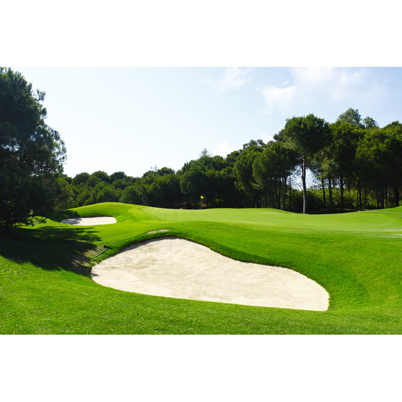 Golf Course - Wrapped Canvas Print, 81cm H x 122cm W x 3.8cm D