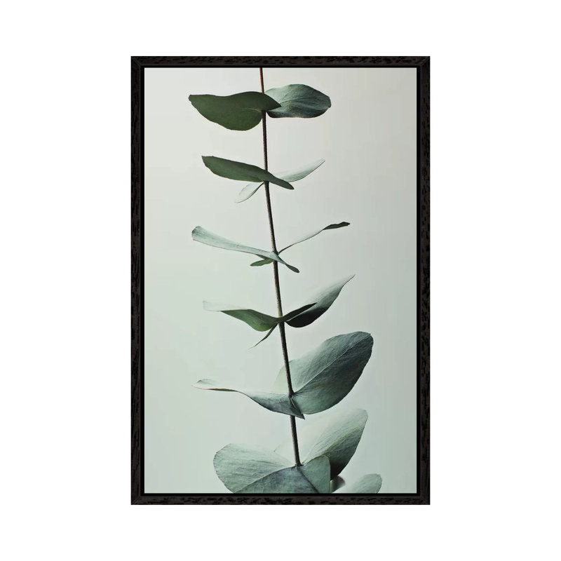 Eucalyptus Green I 1 Piece Painting on Canvas, 66.04cm H x 45.72cm W x 3.81cm D, Black Framed