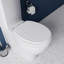 Soft Close Round Standard Toilet Seat