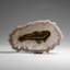 Quartz Stalactite Slice From Uruguay (122 Grams)