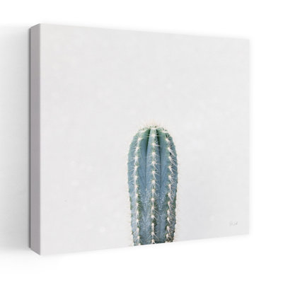 Contemporary Contemporary Treasures III avec art de cactus bleus