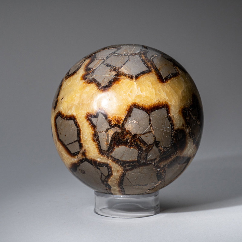 Genuine Polished Septarian (2") Sphere from Madagascar, 3.75" H x 3.75" W x 3.75" D, Yellow Calcite/Brown Aragonite/Gray