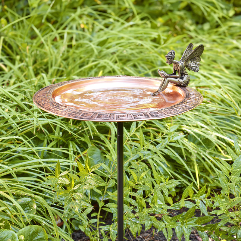Bain d'oiseaux sur piédestal Eugeniea