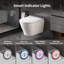 DeerValley Wall Hung Smart Toilet with Bidet Built in, Remote Control, Warm Air Dryer, Night Light, Modern White Toilet for Bathrooms with Filter, Quick Release & Soft Close Design 