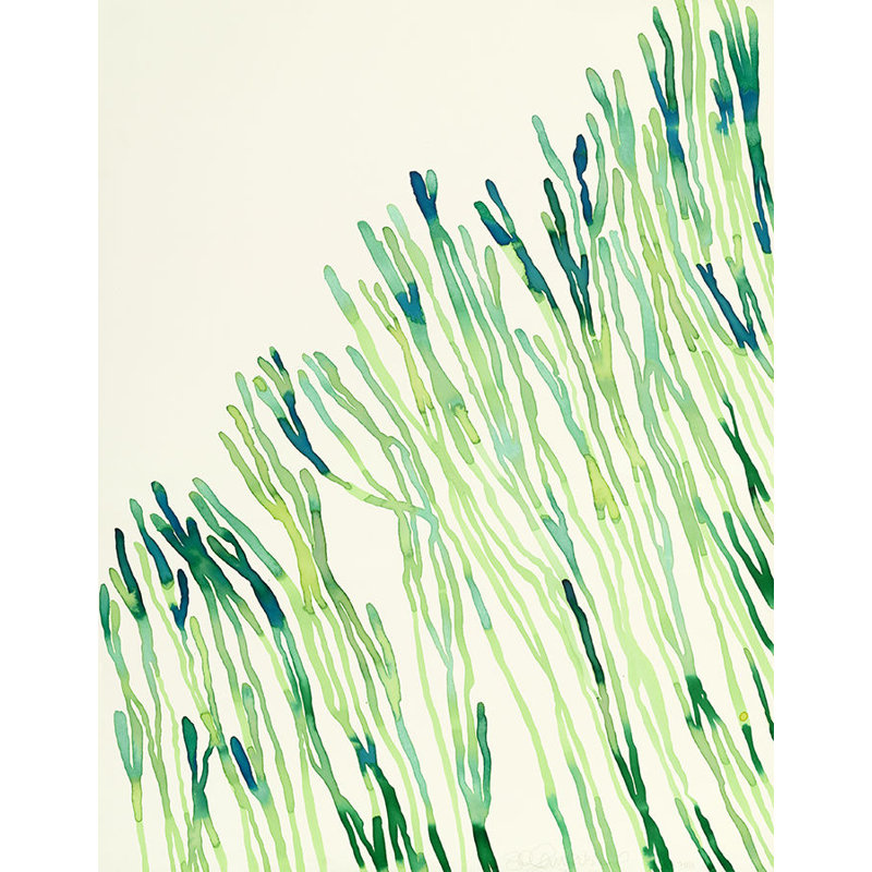 Plants XI Print by Hable Construction, Outdoor, 31" H x 24" W x 1.5" D