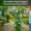 190cm H x 40cm W Metal Obelisk Trellis