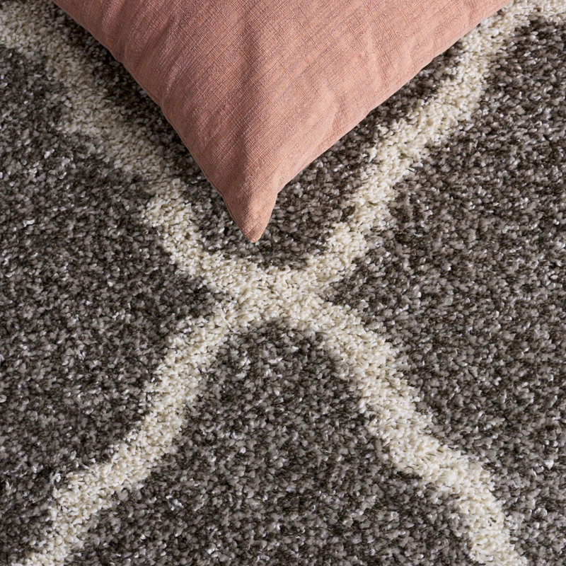 Tapis à poils longs Darrol Hudson, Rectangle de 9 pi x 12 pi