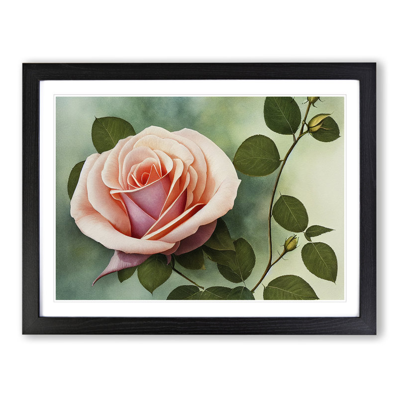 Distinguished Rose Flower - Single Picture Frame Painting, Black, 25cm H x 34cm W x 2cm D