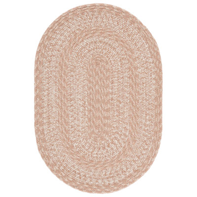 Braided 265 Hand Woven Performance Machine Washable No Pattern Rug