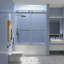 Porte de douche sans cadre H 60 po x H 65 po Chowning