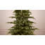 Lighted Artificial Fir Christmas Tree-1497654451
