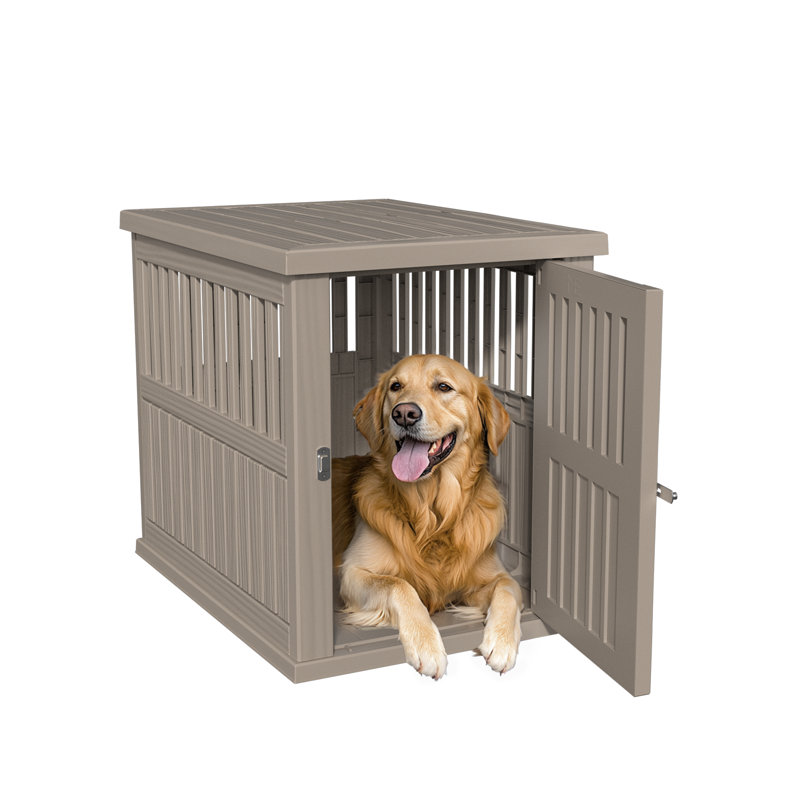 Cage pour chien de grande race