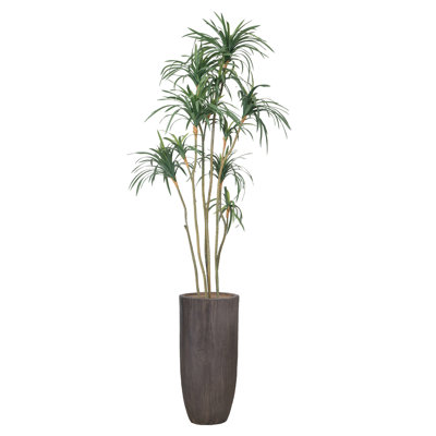 Arbre de dragon 94 "H 8" Real Touch, intérieur / extérieur, en pot avec panier à corde (H 38 po x 38 po x 74 po)