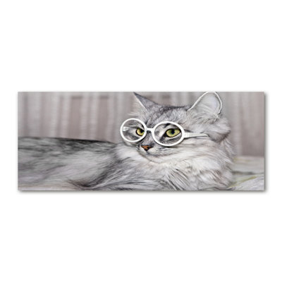 Cat With Glasses - Wrapped Canvas Print