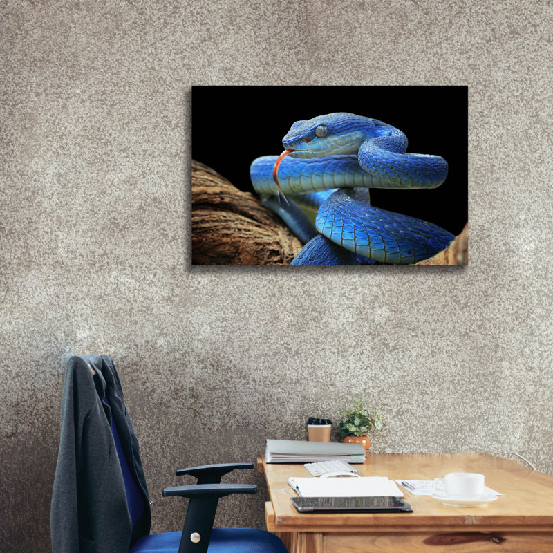 «Blue Viper Snake» par Epic Portfolio, art mural sur toile, H 26 po x l 40 po x P 1,5 po