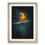 Perched Parrot - Picture Frame Graphic Art Print-56856979-56856980